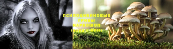 дурь Зеленодольск