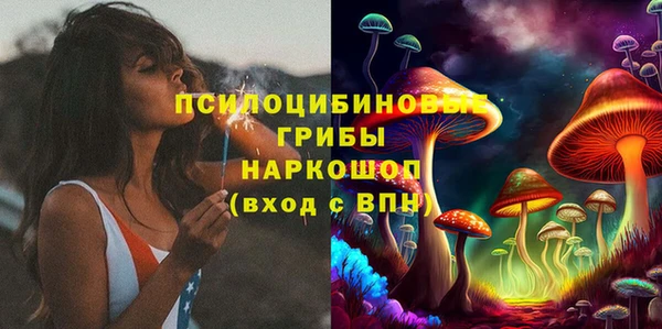 синтетический гашиш Заводоуковск