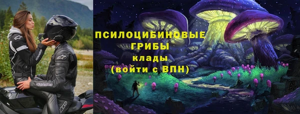 spice Зеленокумск