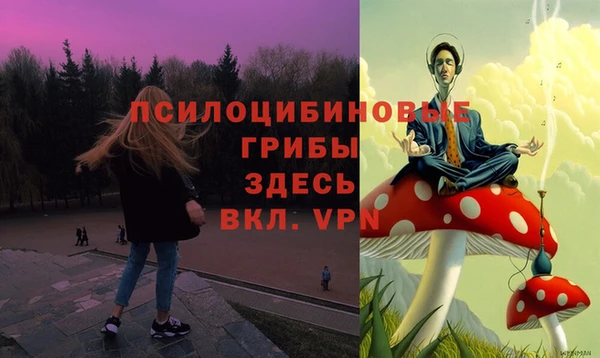 синтетический гашиш Заводоуковск