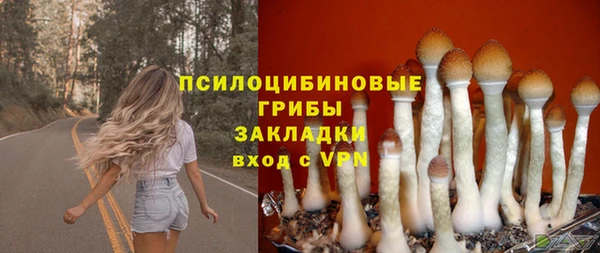 синтетический гашиш Заводоуковск